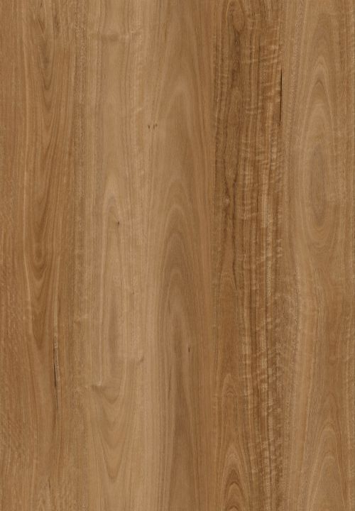 Metropol1500 Marblespottedgum